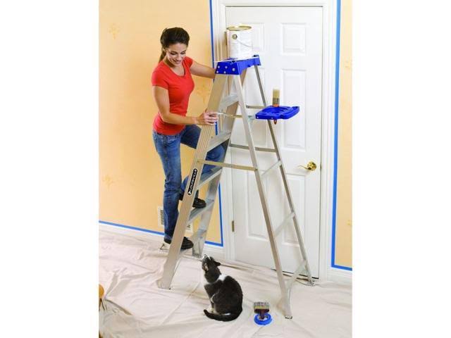 10 ft Aluminum 250 lb Capacity Stepladder J5190