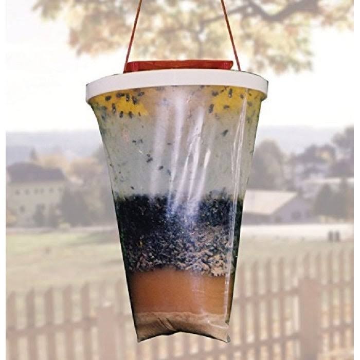 Non Toxic Fly Trap (12-Pack) W413