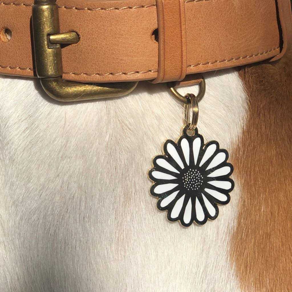 Daisy ID Tag X636481