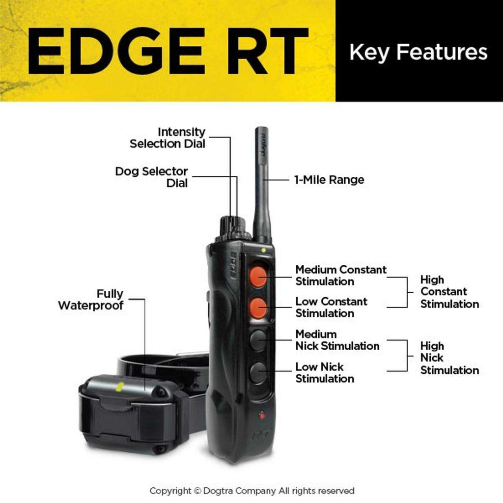 Dogtra EDGE RT N369