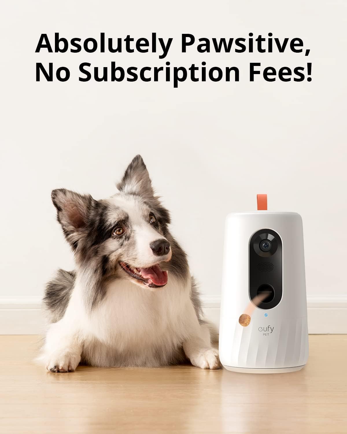 Pet Dog Camera with Treat Dispenser, 2-Way Audio, Night Vision S76763
