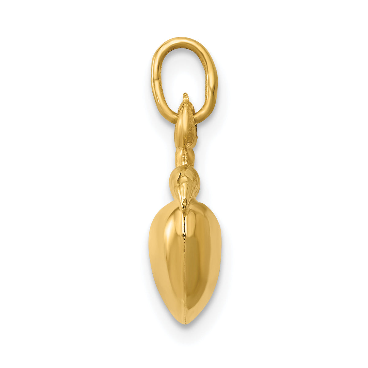 14K Yellow Gold Apple Pendant Charm I523805