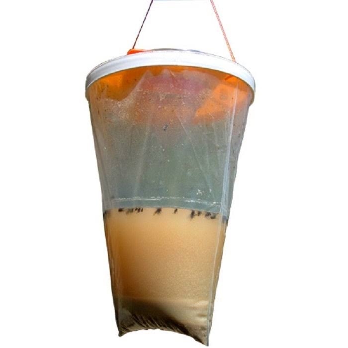 Non Toxic Fly Trap (12-Pack) W413