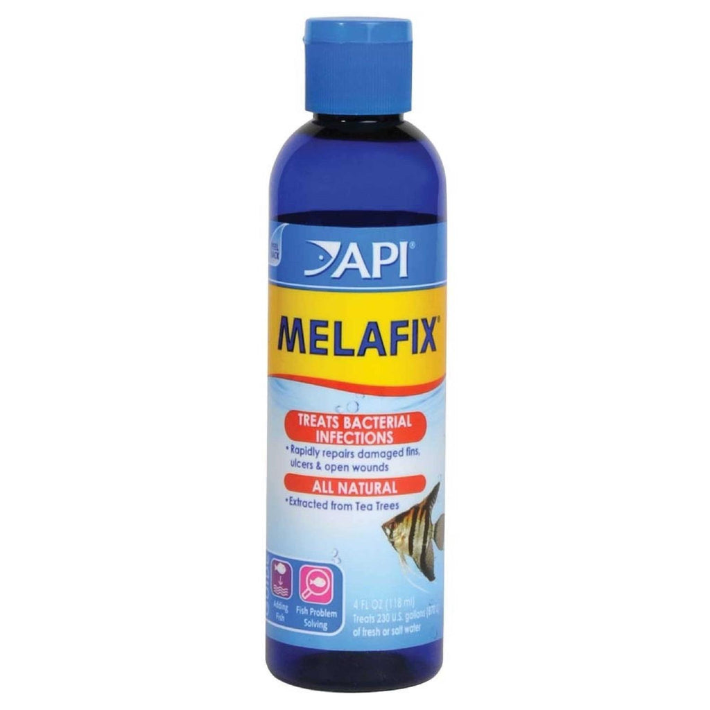 Fish Remedy Z174759