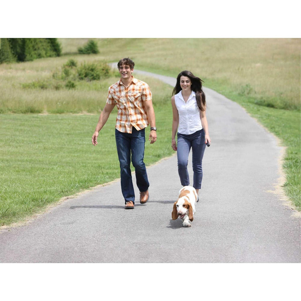 Ultrasonic Remote Dog Trainer C43877