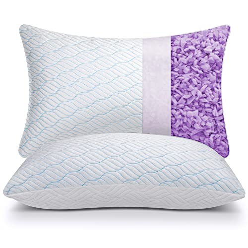 King Size Shredded Memory Foam Pillows Set of 2 G6461