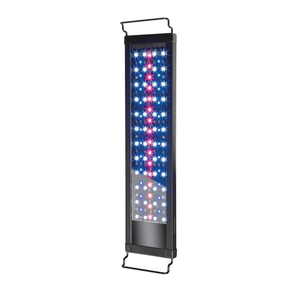 LED Fixture Z94644