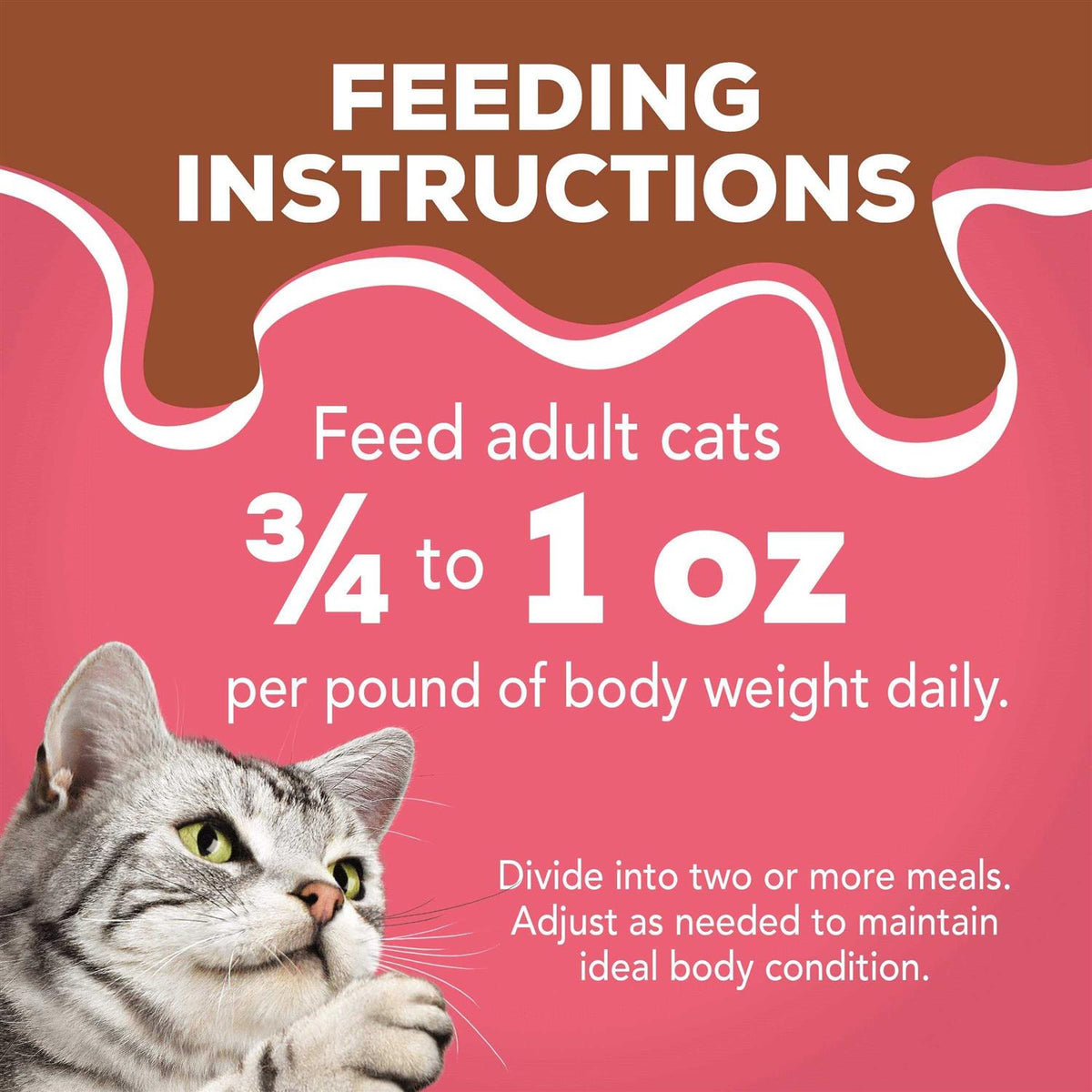 Wet Cat Food Gravy W5646