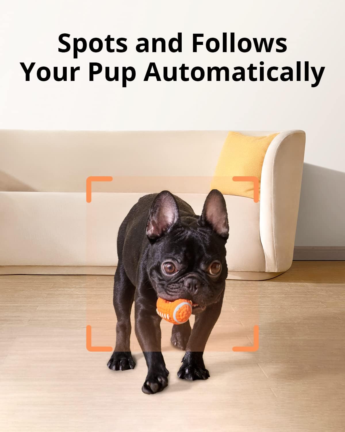 Pet Dog Camera with Treat Dispenser, 2-Way Audio, Night Vision S76763