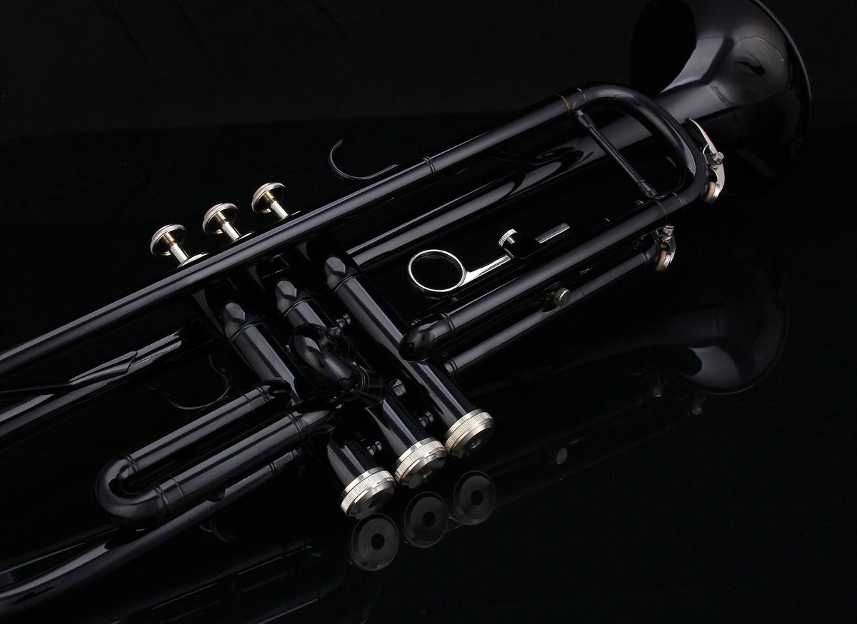 Bb Trumpet with Pro Case and Care Kit B87166