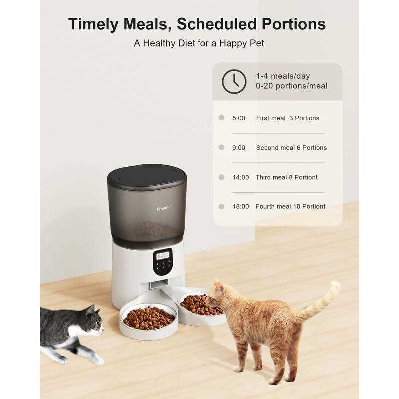 6L Automatic Cat Feeder with Double Bowls A752160
