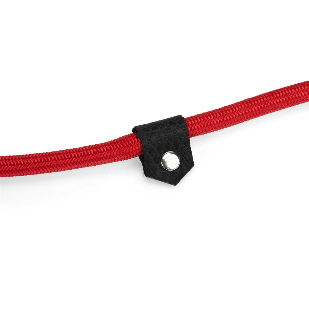 Training Rope Slip Lead for Dogs M6958