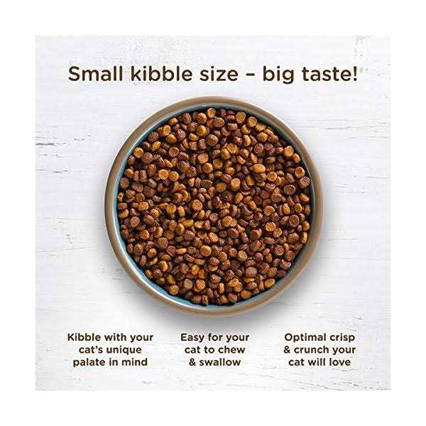 Dry Cat Food K74276