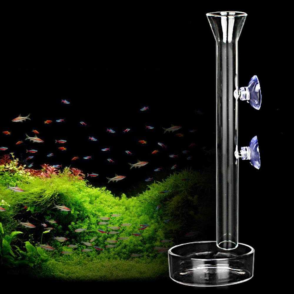 Aquarium Shrimp Feeding Tube and Dish Clear Crystal Glass E586130