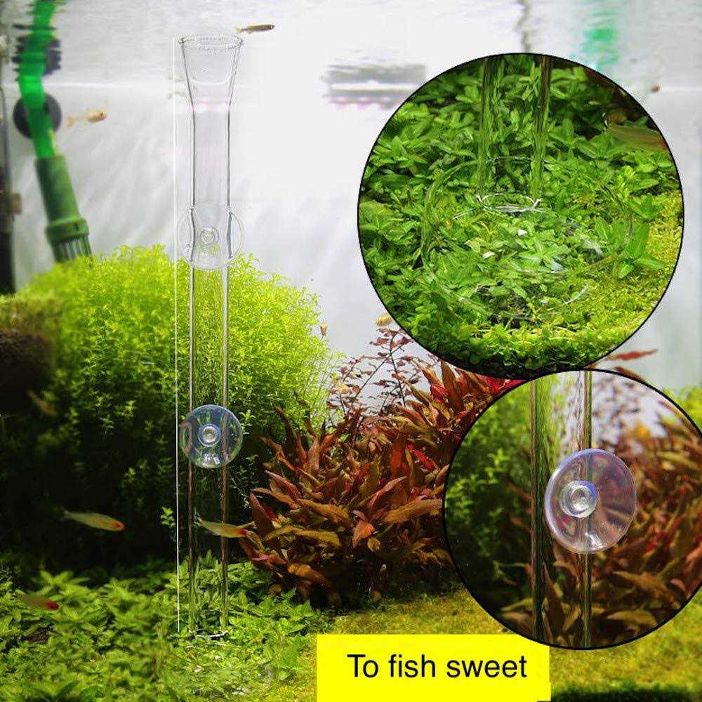 Aquarium Shrimp Feeding Tube and Dish Clear Crystal Glass E586130