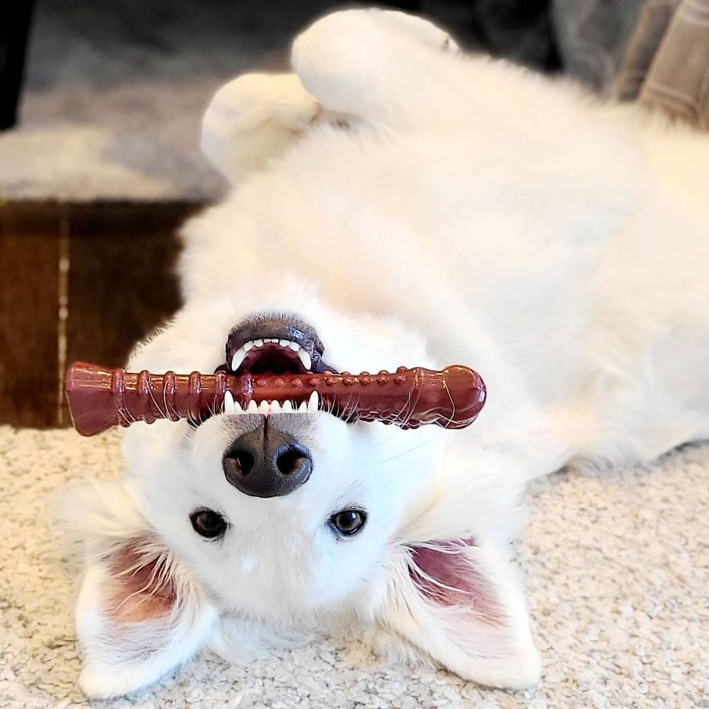 Beef Jerky X-Large Dog Chew Toy N88871
