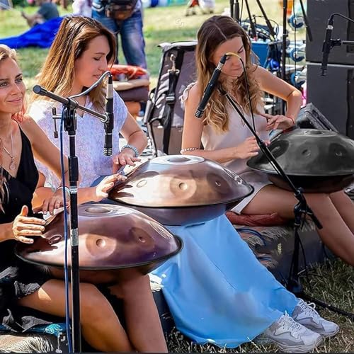 10 Notes 22 Inch Handpan Drum L672