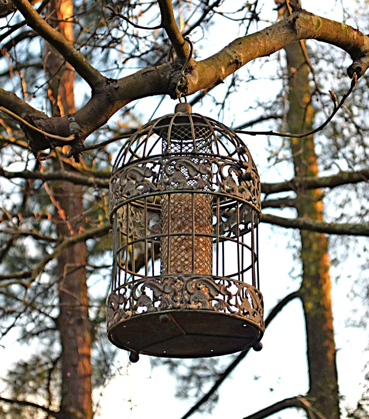 Rustic Metal Squirrel Proof Caged Bird Feeder P13105