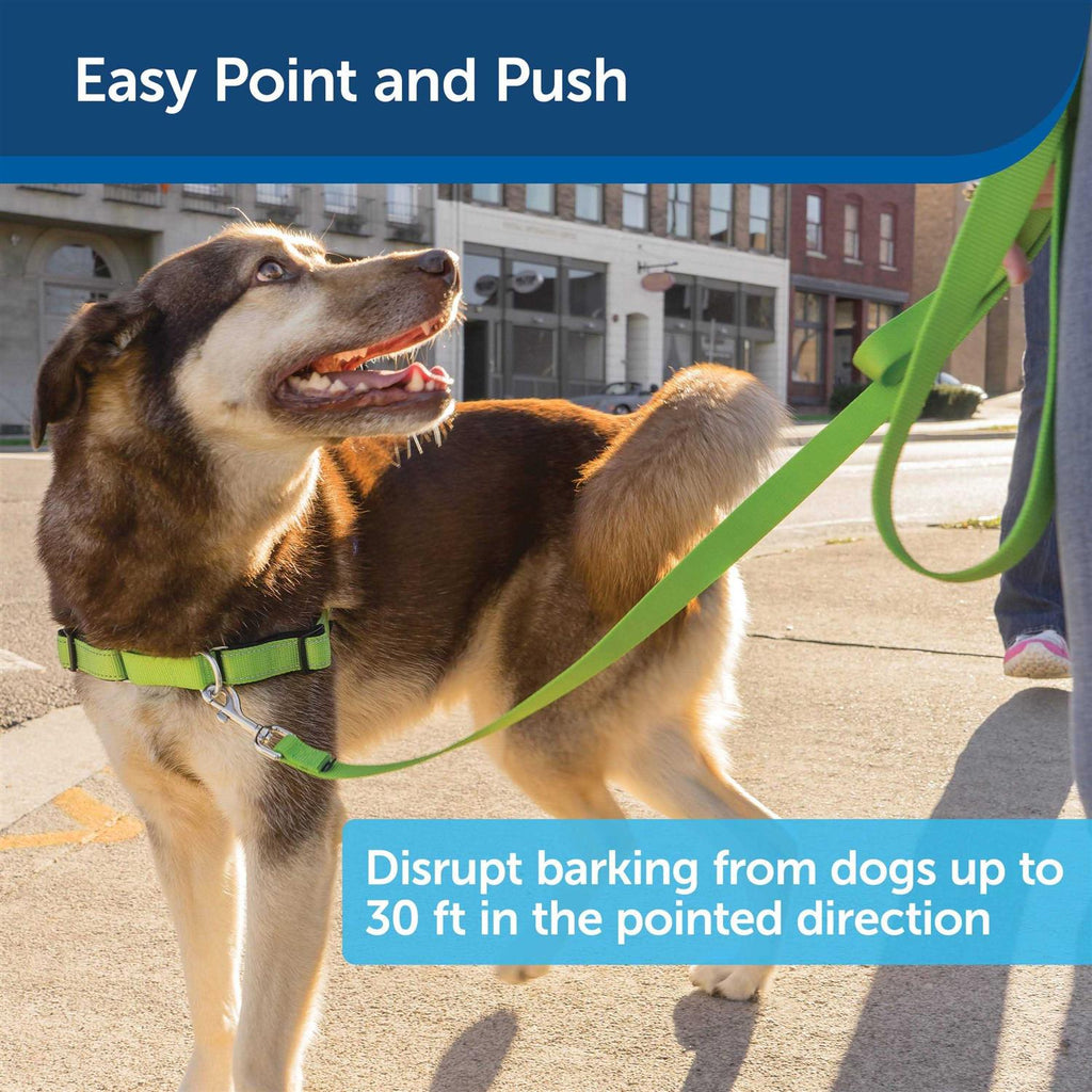 Ultrasonic Remote Dog Trainer C43877