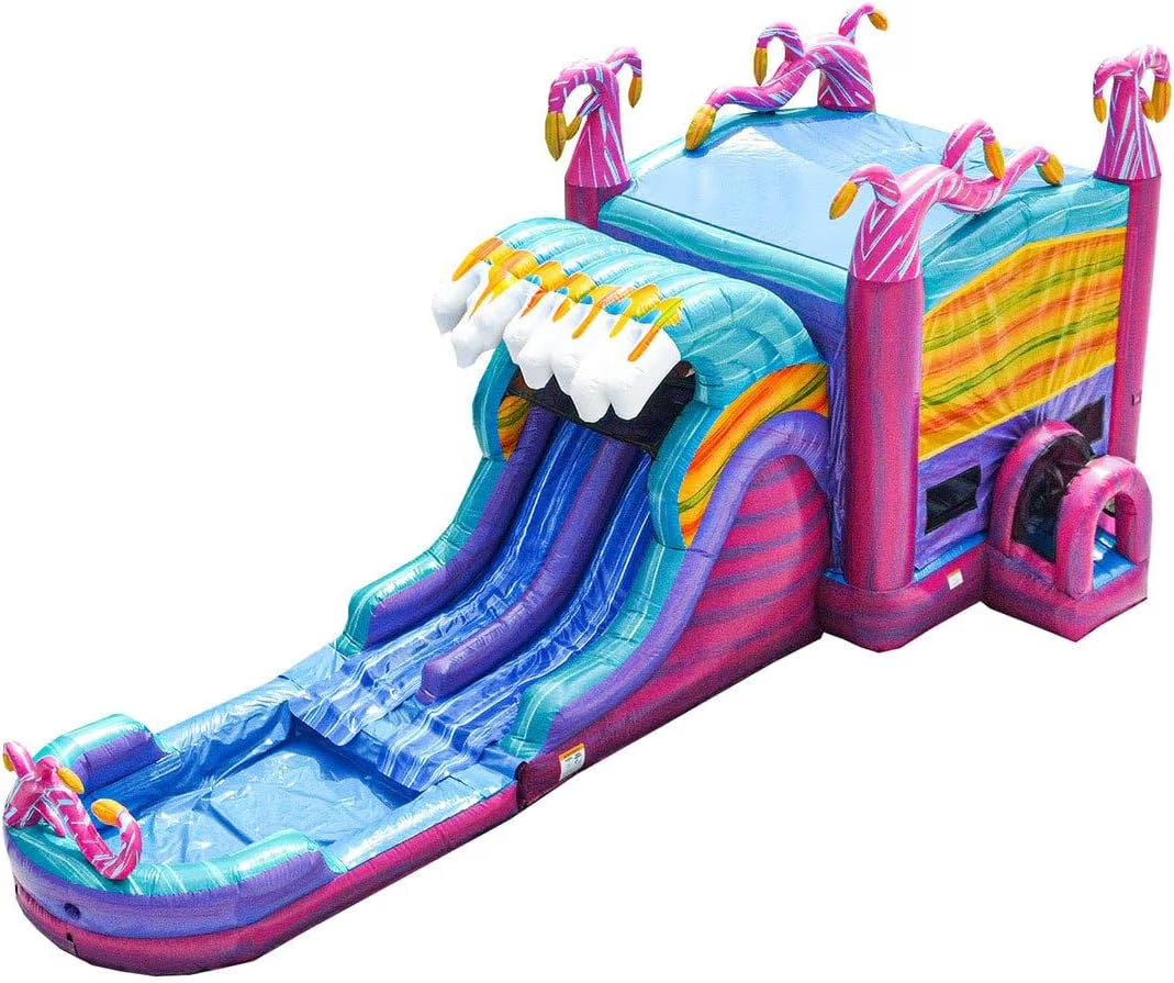 Commercial Grade Bounce House Inflatable with Water Slide and Pool Combo, Dual Lane Slide E133