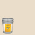 Satin Exterior Paint (5-Gallon) Z63710