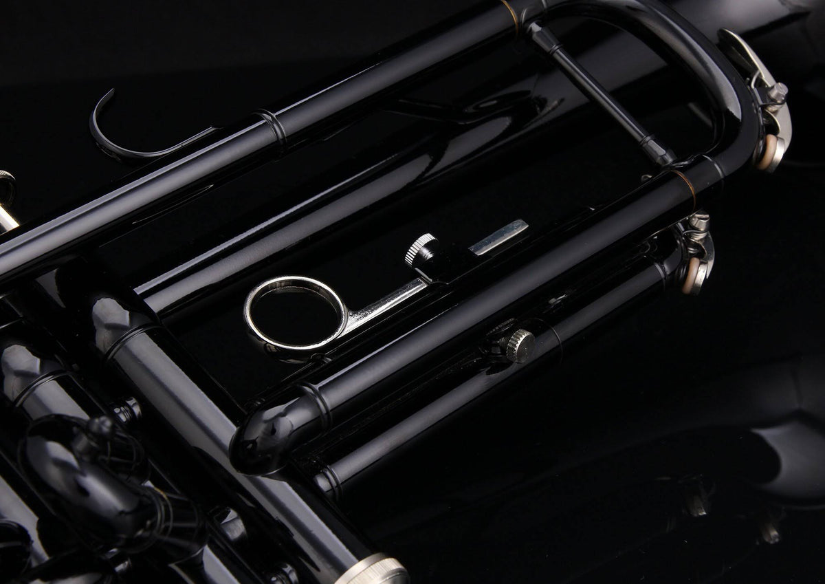 Bb Trumpet with Pro Case and Care Kit B87166