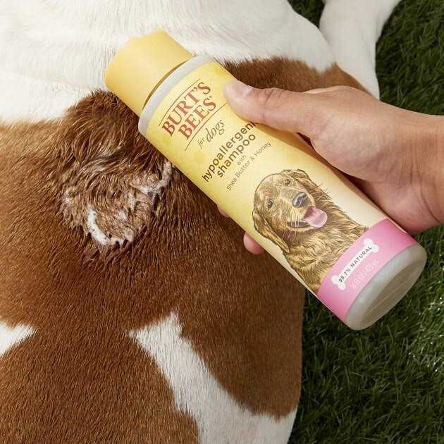 Shampoo W754655