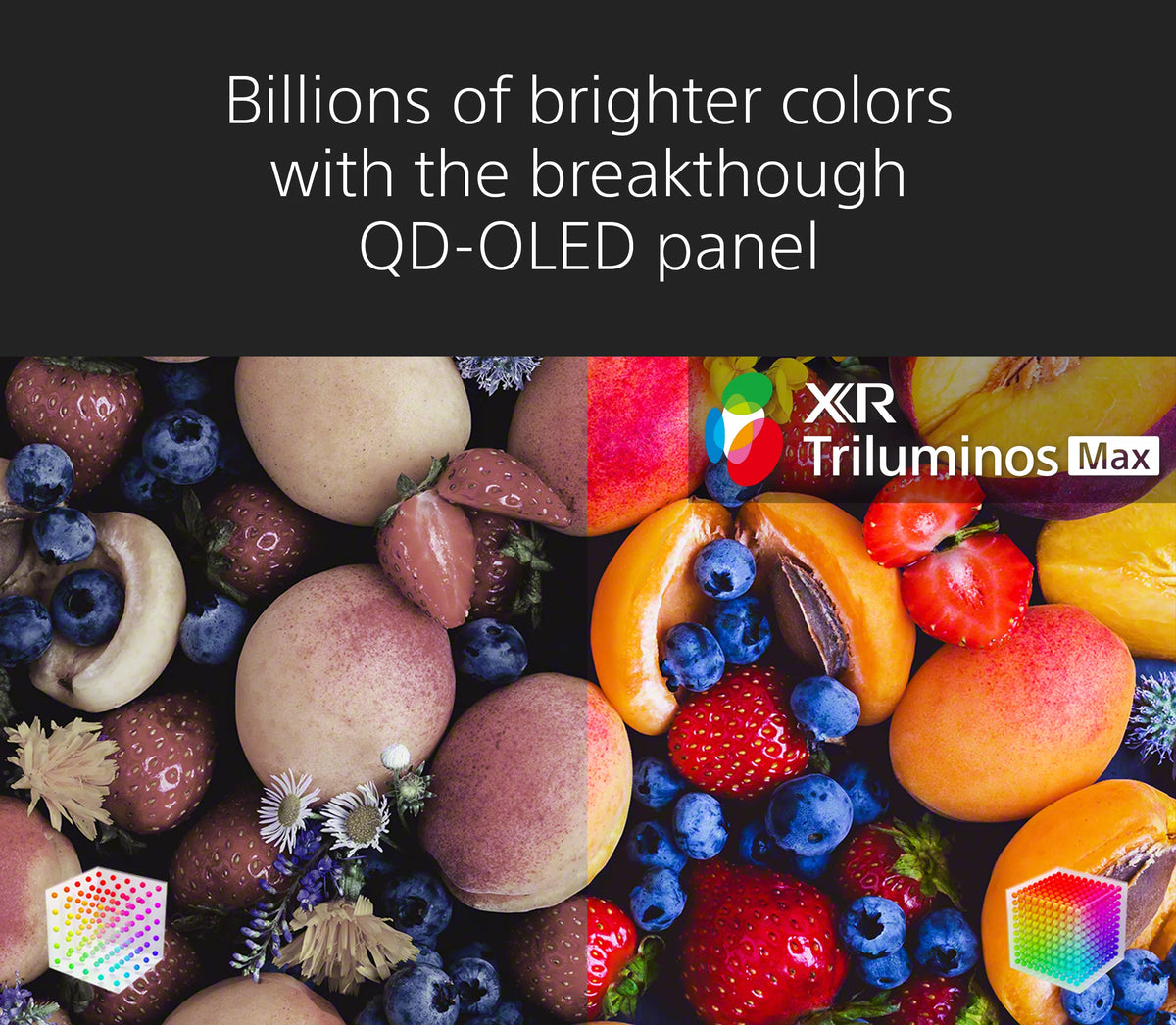 55” 4K HDR OLED TV with smart Google TV X156