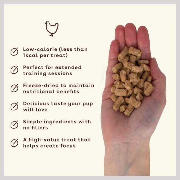 Chicken Freeze-Dried Dog Treats Q831