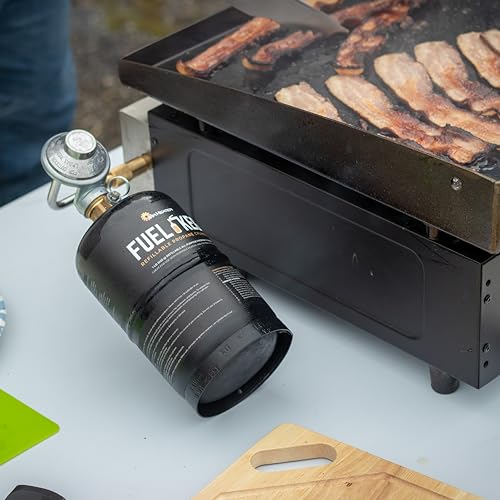 Indoor Safe Propane Heater F860