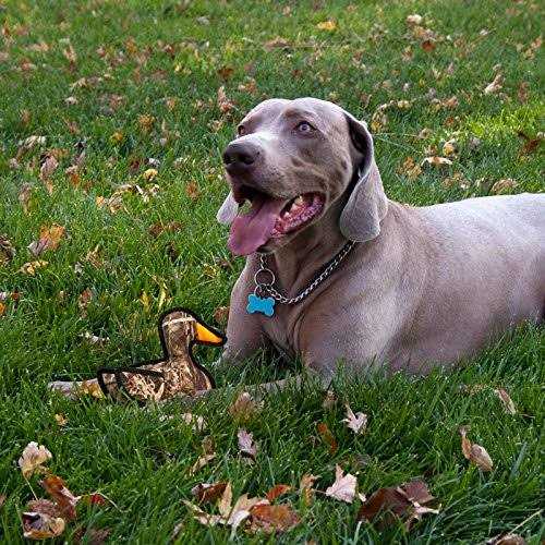 RealTree Moose Dog Toy Y305