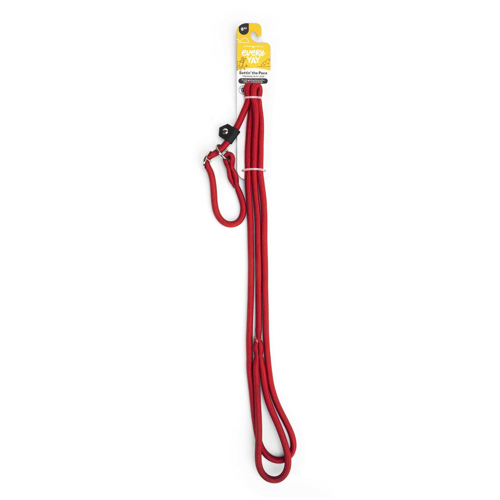Training Rope Slip Lead for Dogs M6958