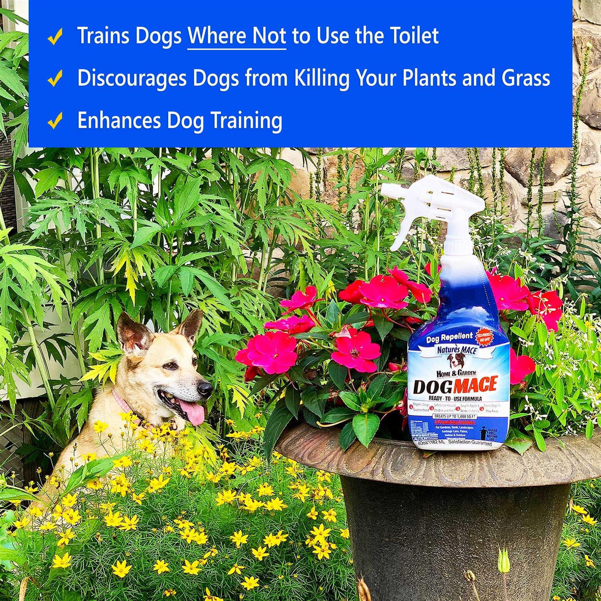 Dog Repellent C2054