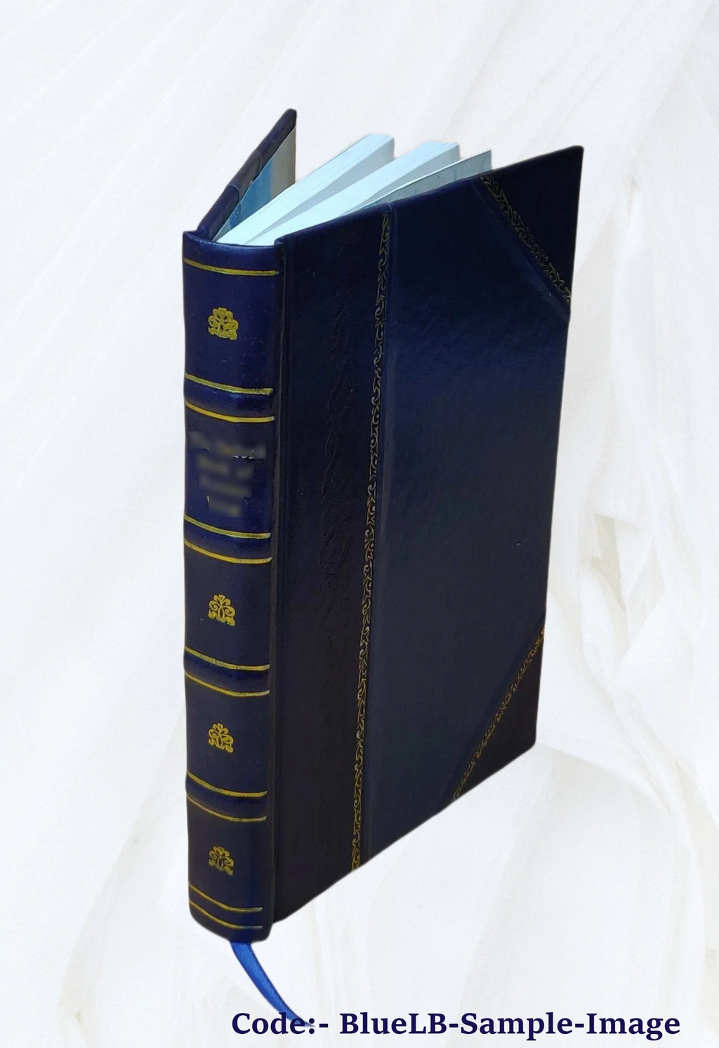 zanzibar the island metropolis of eastern africa 1920 Leather Bound U9199