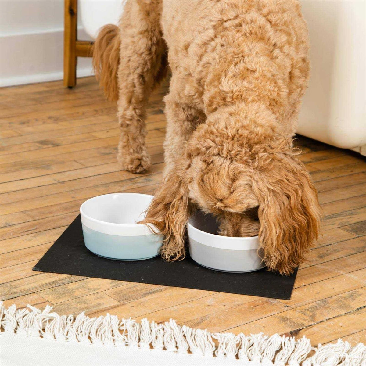 Dog Placemat R866040