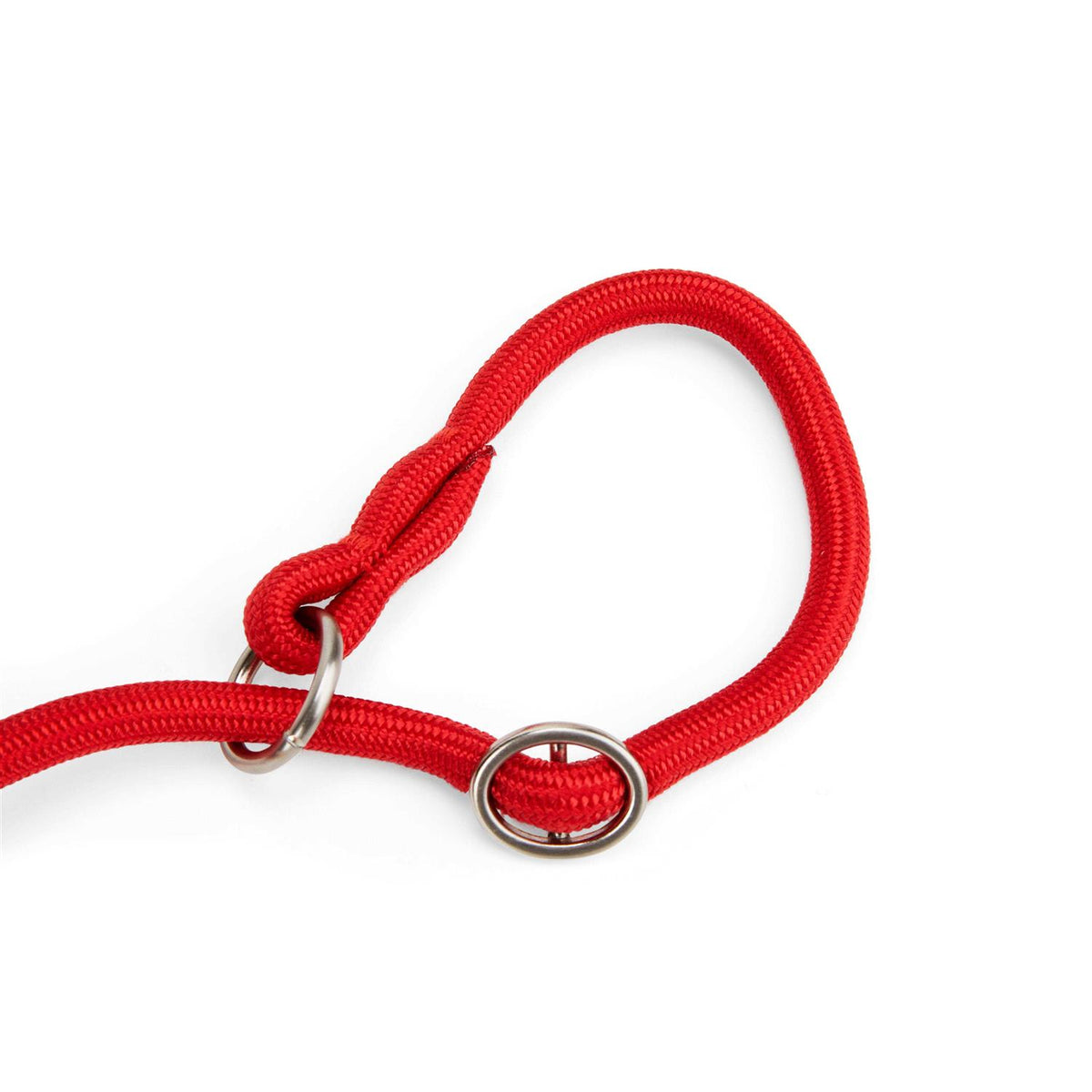 Training Rope Slip Lead for Dogs M6958