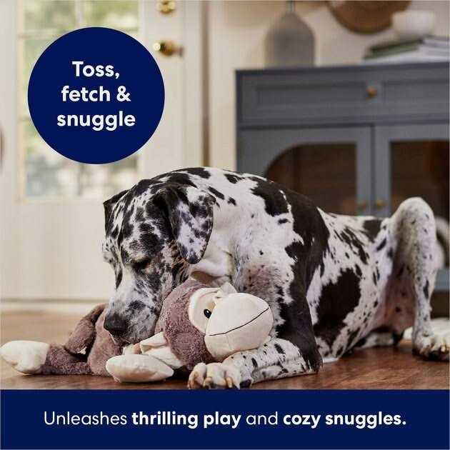 Monkey Plush Squeaky Dog Toy Z2356