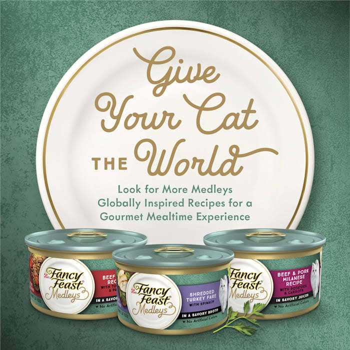 High Protein Wet Cat Food with Wild Alaskan Salmon and Garden Veggies in Sauce D2022