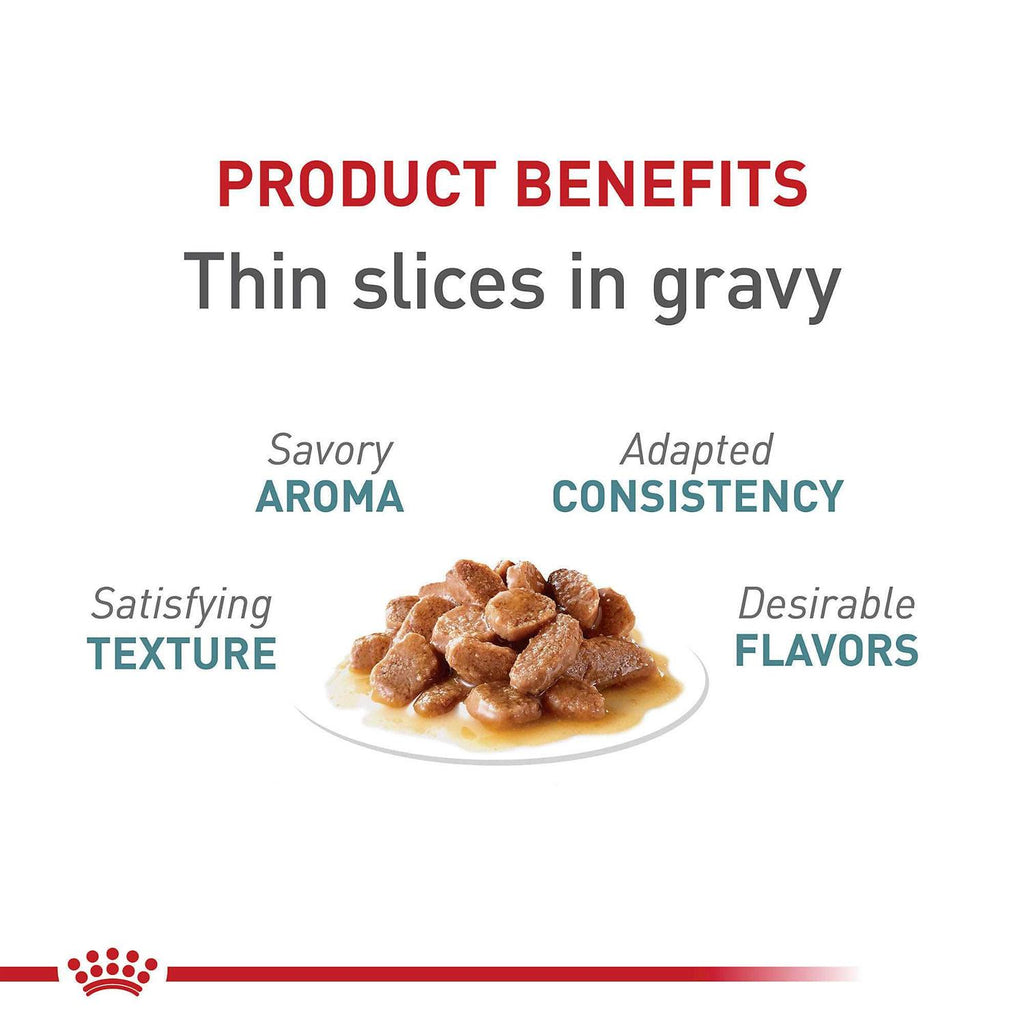 Hairball Care Thin Slices in Gravy Cat Food U95993