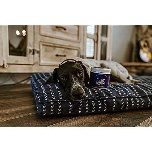 Calming Soft Chews for Dogs B120051