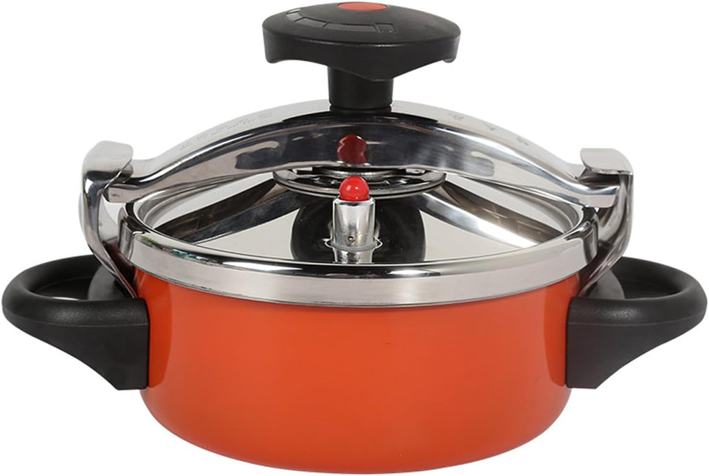 2L/2.1Quart Stainless Steel Mini Pressure Cooker D364807