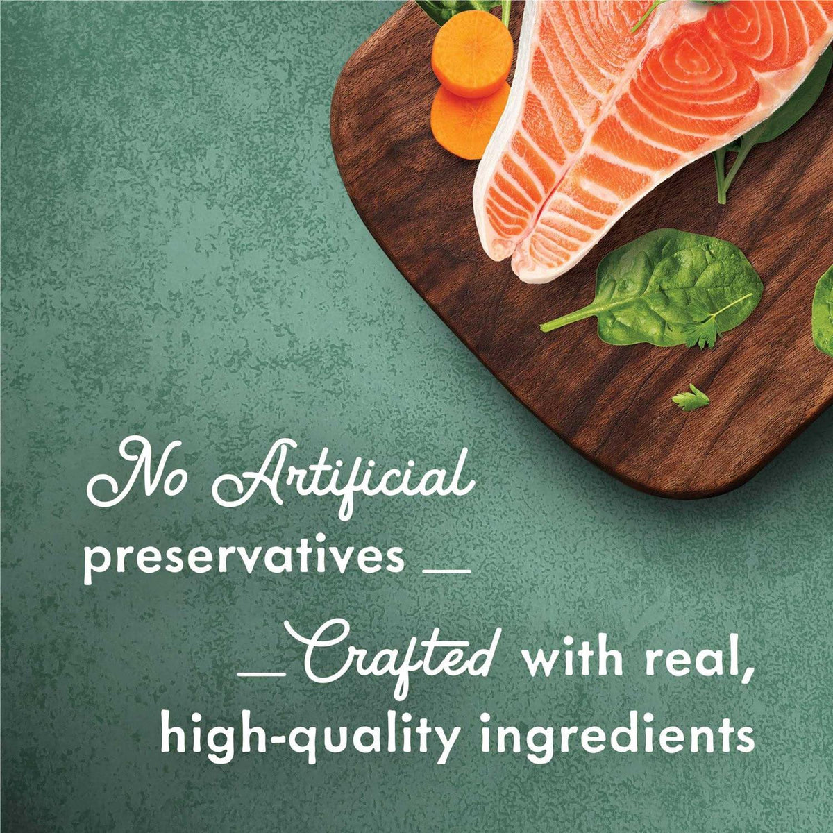 High Protein Wet Cat Food with Wild Alaskan Salmon and Garden Veggies in Sauce D2022