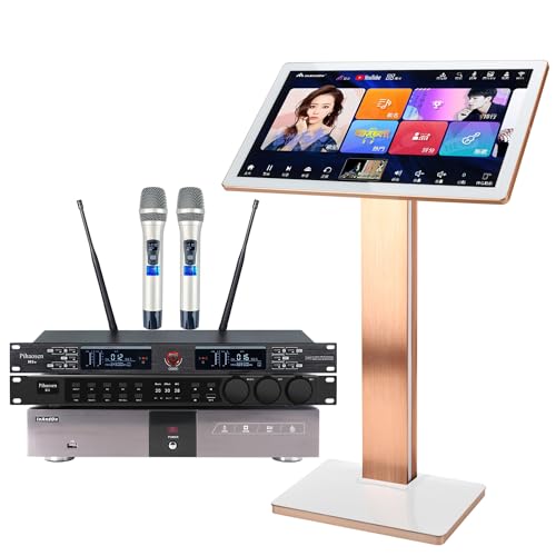 22-inch Touch Screen Karaoke Player with Wireless Microphone O897