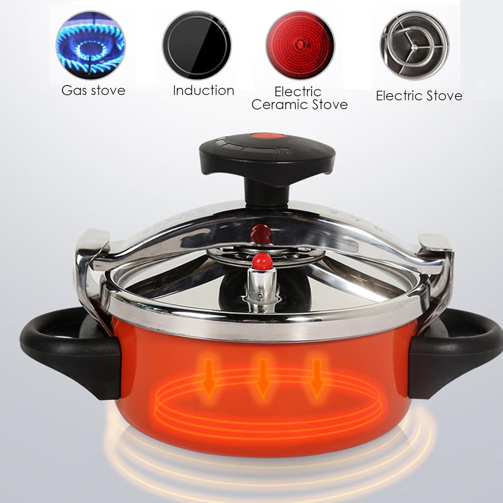 2L/2.1Quart Stainless Steel Mini Pressure Cooker D364807