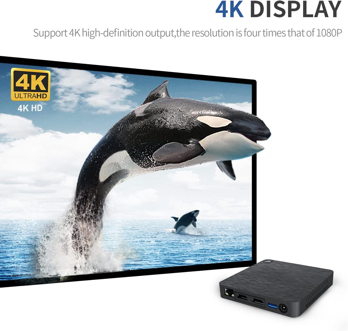 Windows 10 Mini Computer with 4G DDR and 64G eMMC D263