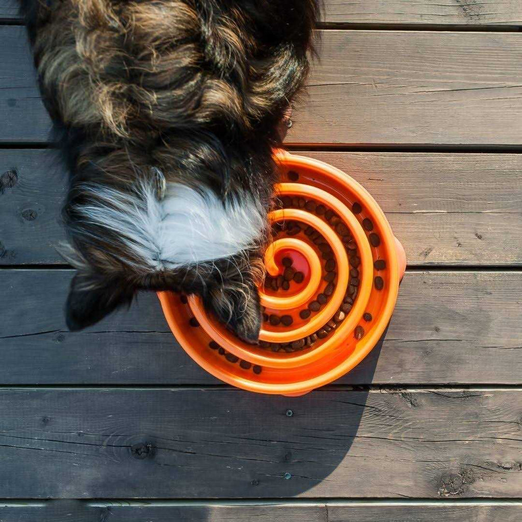 Slow Feeder Dog Bowl E913