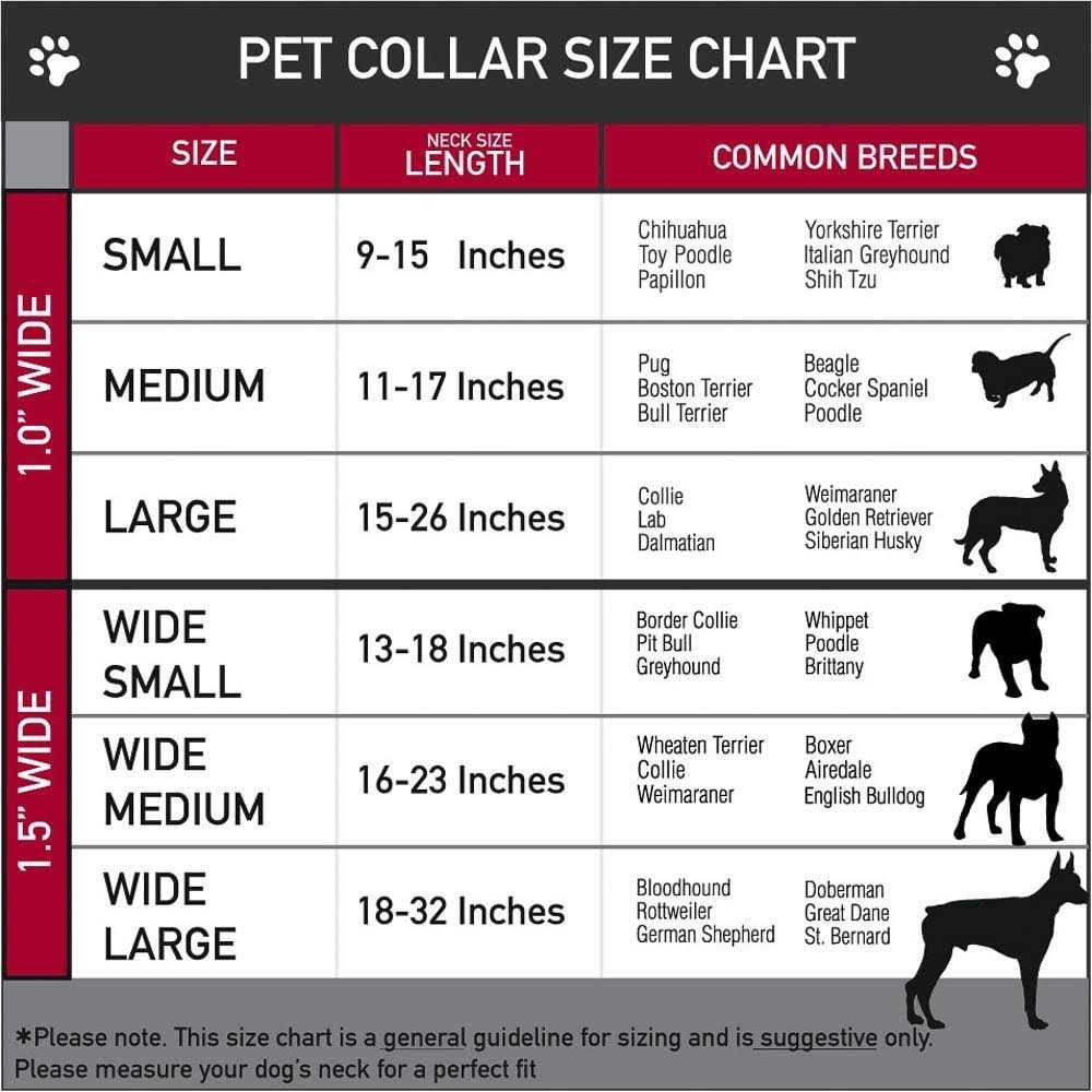Dog Collar Seatbelt Buckle M363254