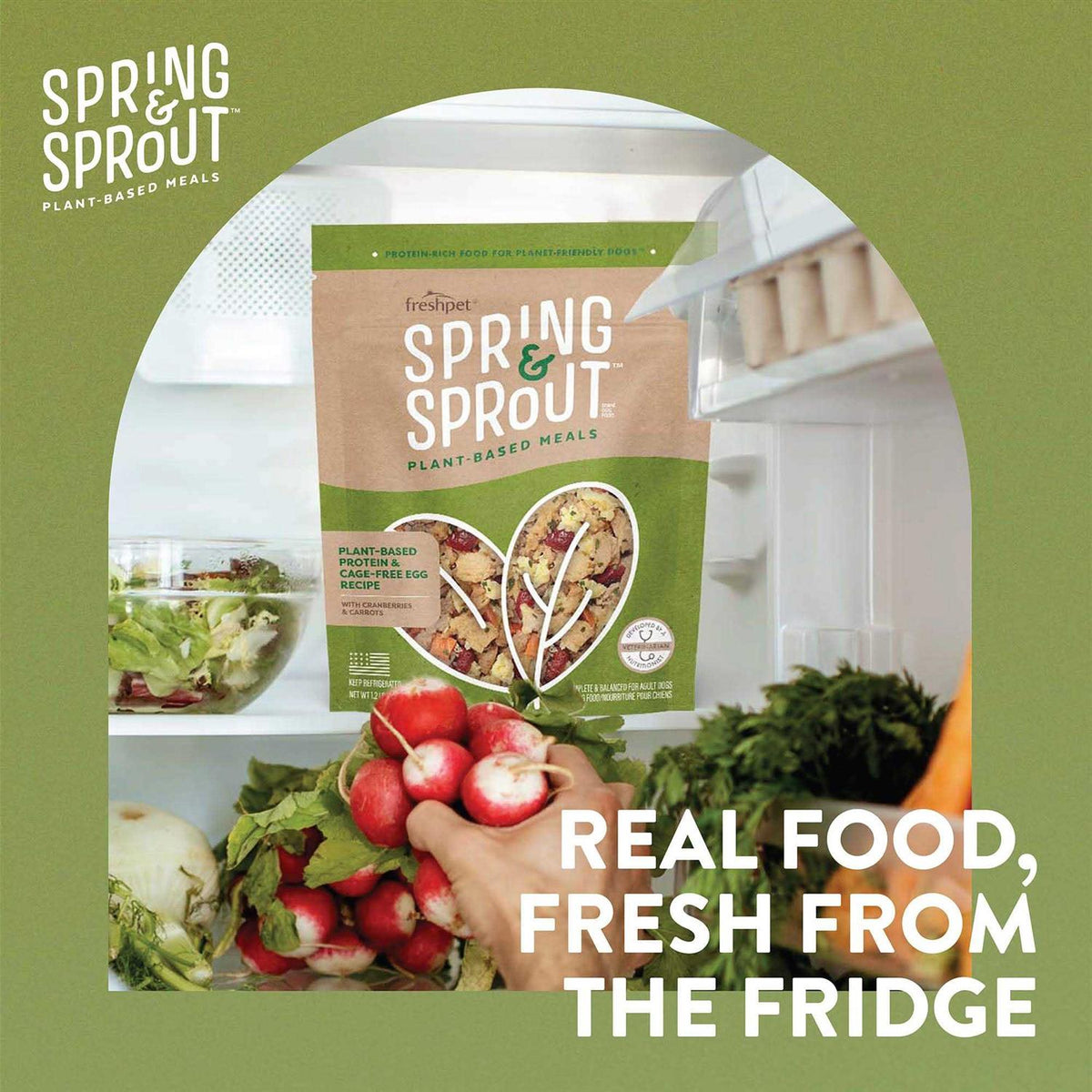 Plant-Based Protein & Cage-Free Egg Dog Food H14946