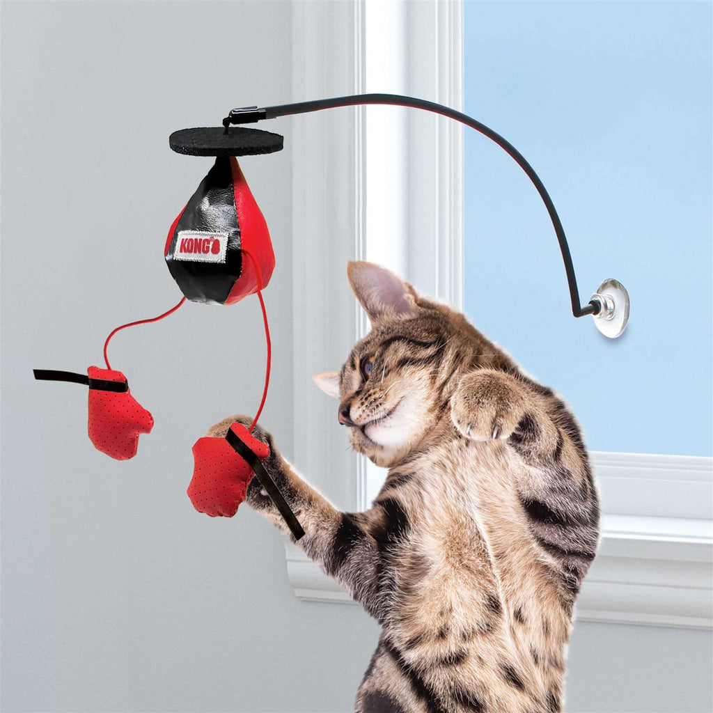 Window Cat Toy J759