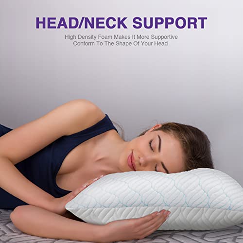 King Size Shredded Memory Foam Pillows Set of 2 G6461